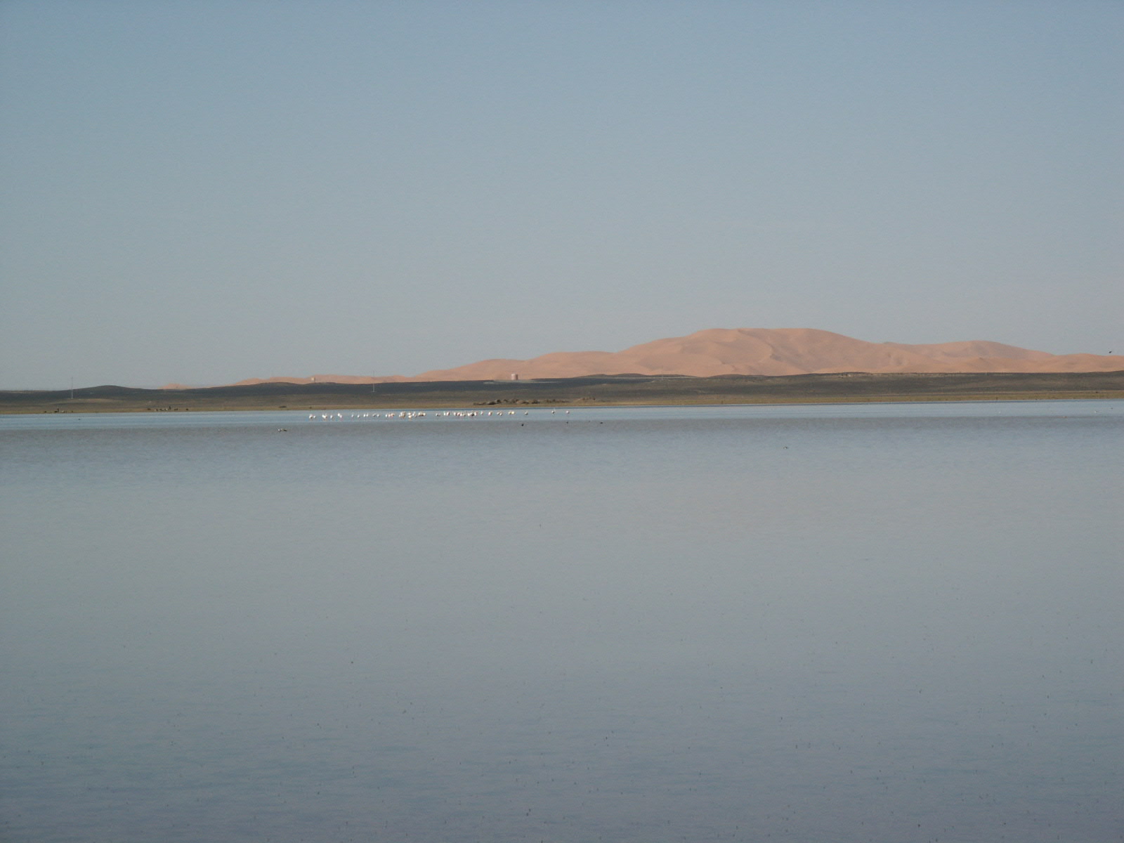 Un lac au pied des dunes