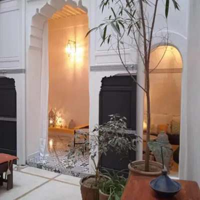 a living room with a plant in a pot at DAR ORANGE in Fès