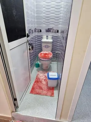 a small bathroom with a toilet and a shower at Dar Latifa in Tinerhir