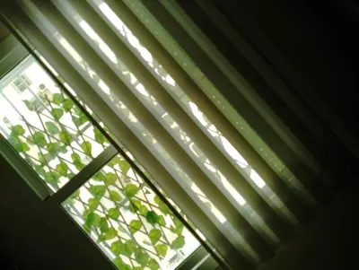 a window with blinds and a plant at Appartement Fadila in Fès