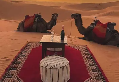 a table in the desert with two camels and a bottle of wine at Desert Camp in Merzouga
