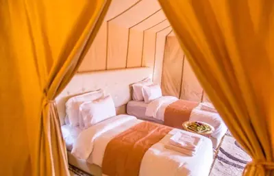 two beds in a room with curtains at Fantastic Luxury Camp in Merzouga