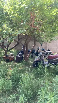 a group of motorcycles parked under a tree at Ourika in Aghbalou