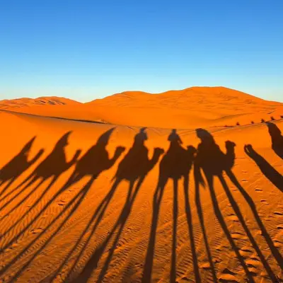 a group of shadows of people riding camels in the desert at Desert Bloom Luxury Camp in Merzouga