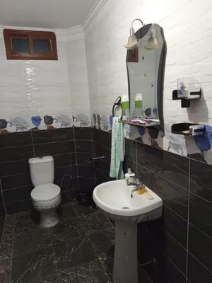 a bathroom with a toilet and a sink and a mirror at El farah in Oulad Akkou