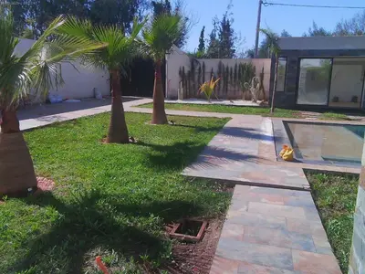 a yard with palm trees and a cat laying on a sidewalk at Villa Ghmat in Aït Ali Ou Allah