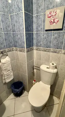 a bathroom with a toilet and a picture on the wall at Aéroport Service navette vers logement cosy in Oulad Akkou
