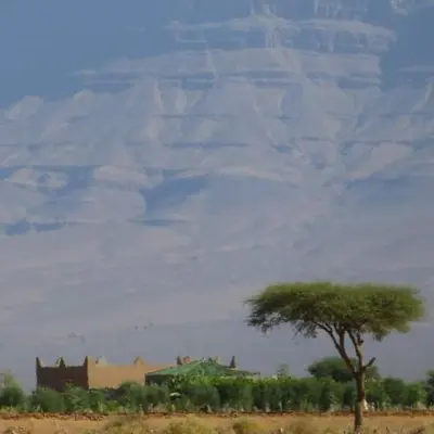 a tree in a field with a mountain in the background at Auberge chez hammadi