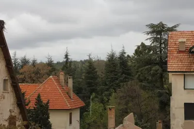 a group of houses with trees in the background at APPARTEMENT AMJAD iFRANE in Ifrane
