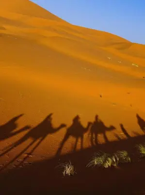 a group of people riding camels in the desert at Family Dunes Camp in Merzouga