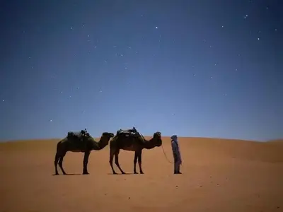 a man standing in the desert with two camels at Merzouga Unique Standard Camp in Merzouga