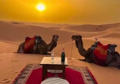 two camels and a table in the desert with a drink at Andromeda Sahara Camp in Merzouga
