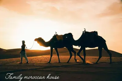 a woman walking two camels in the desert at Sahara Desert Experience camp in Merzouga