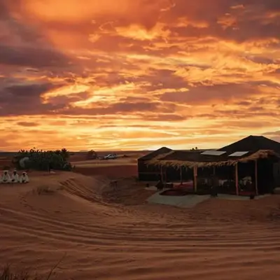 Paradis Du Sahara