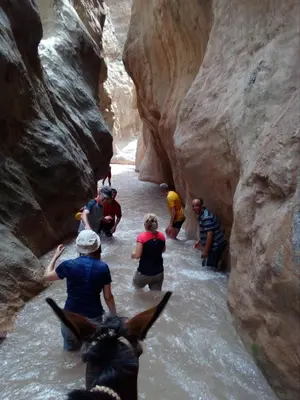 a group of people walking in the water in a canyon at Gte Tawada - Valle Heureuse - Chambre pour 4 Personnes in Agouti