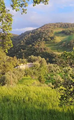 a view of a hill with a farm in the distance at Gîte tazekka in Taza